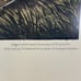 Vintage Audubon pinnated grouse art print plate 186 custom framed birds nature