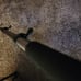 SLIK Pro Pod 600 Monopod