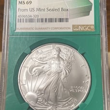 2006 American Silver Eagle
