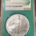 2006 American Silver Eagle