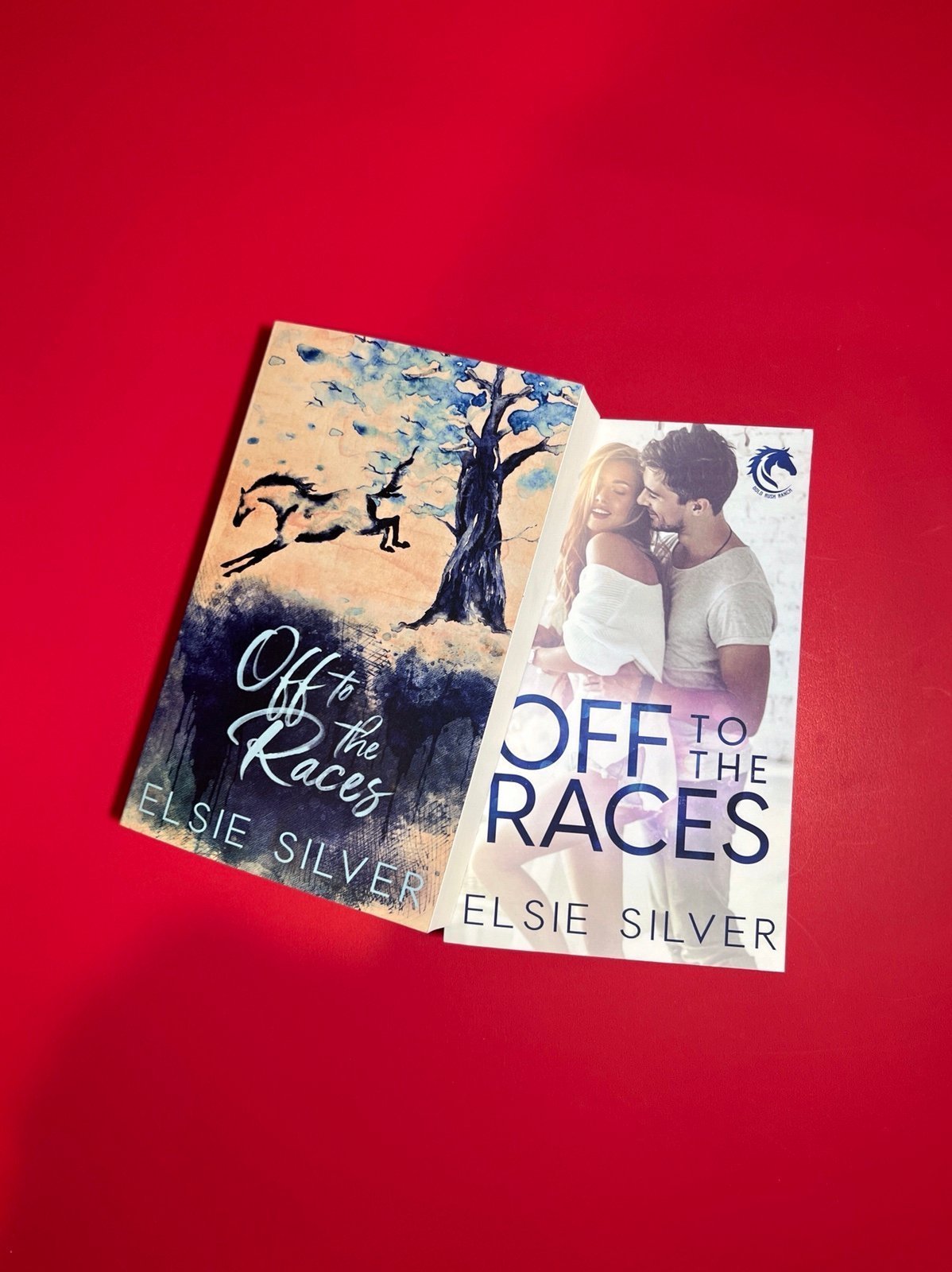 Off to the Races Indie Covers by Elsie Silver