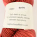 Neighborhood Fiber Co. Studio Worsted Yarn Superwash Merino Barclay