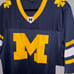 NWT Michigan Large Kersey
