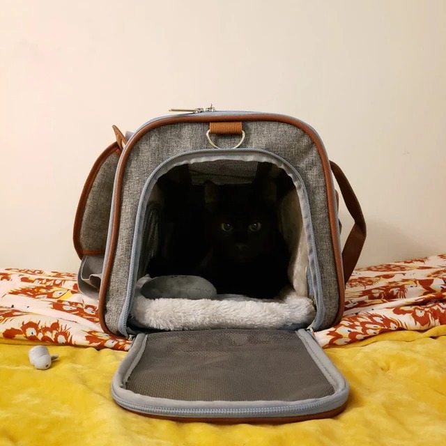 Gold Series Expandable Airline Approved Soft Sided Pet Carrier