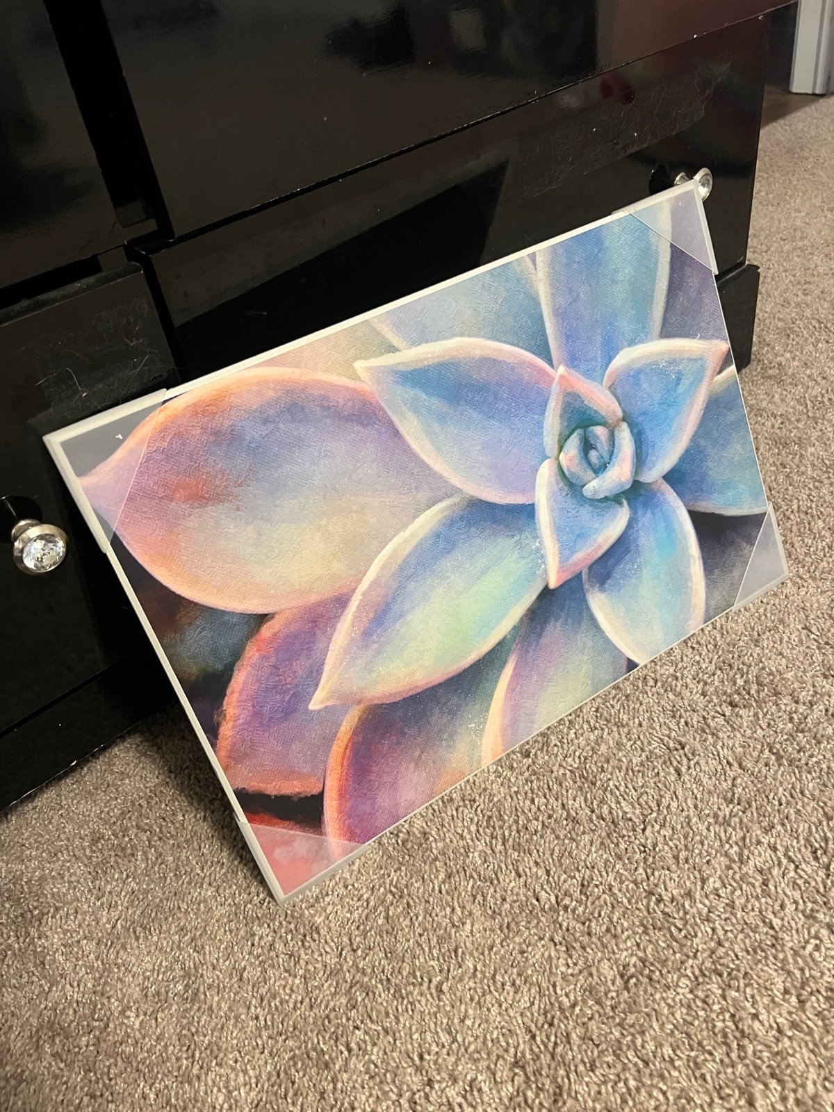 Succulent Plant Vibrant Wall Art
