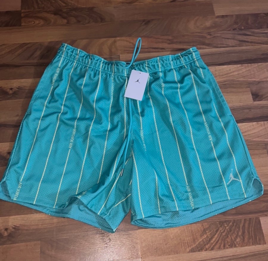 New Air Jordan Essentials Mesh Pinstripe Printed Shorts