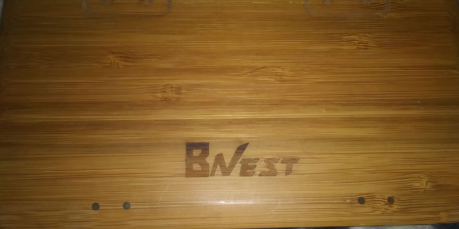 BNest charger