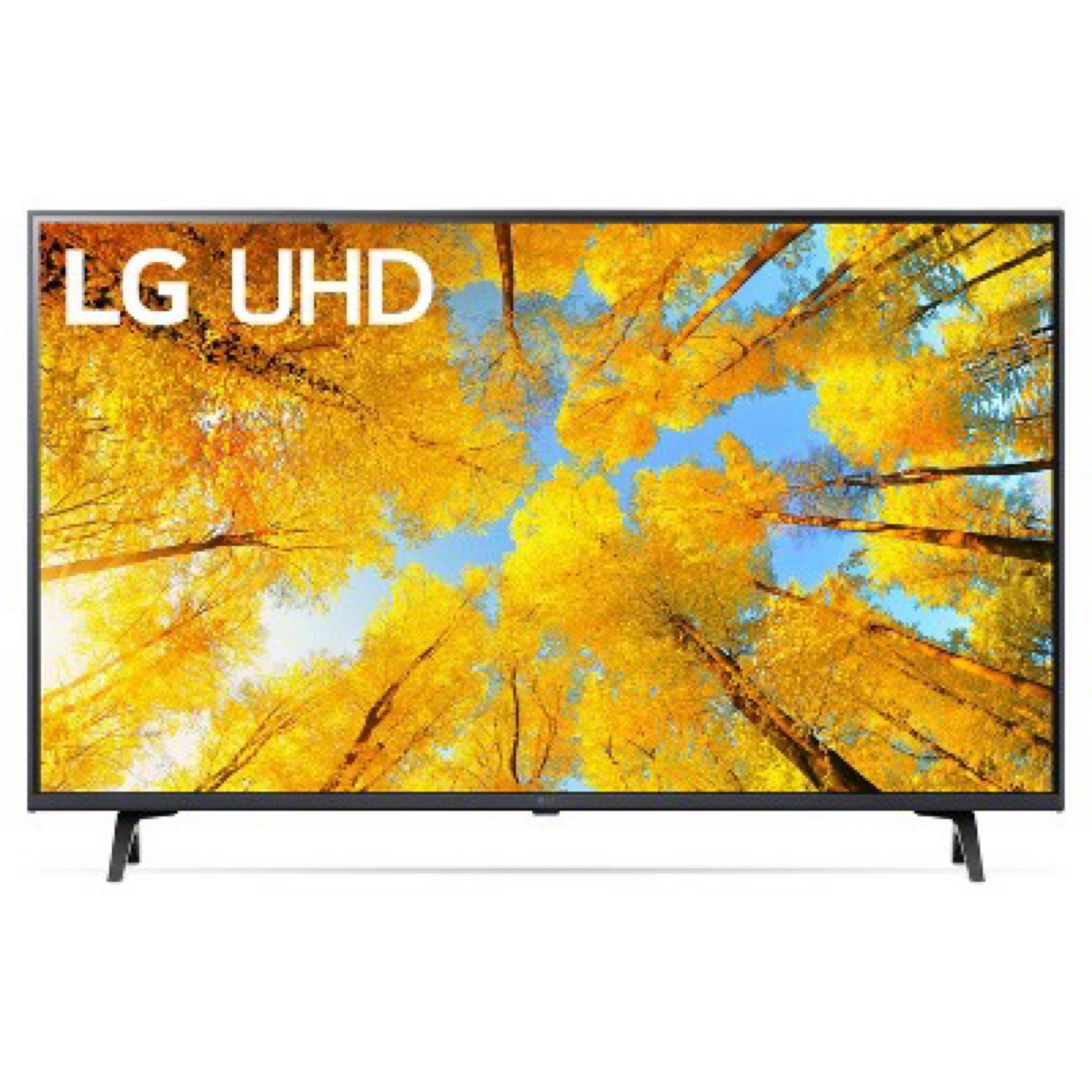 New 43in LG TV