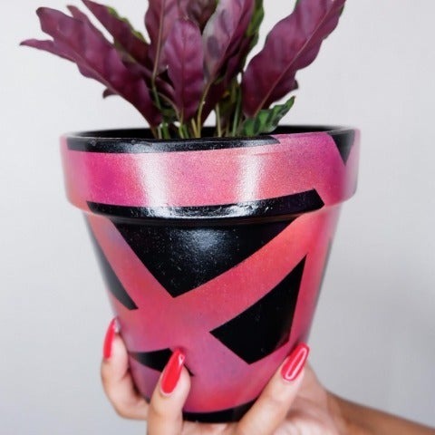 7.5 Plant Pot