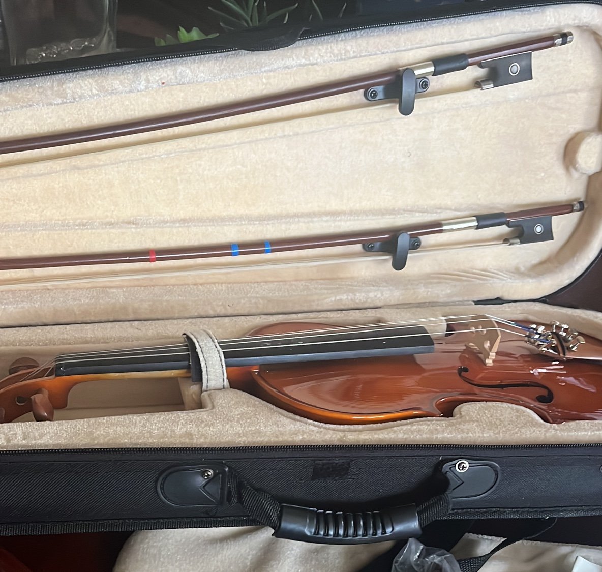 Violin