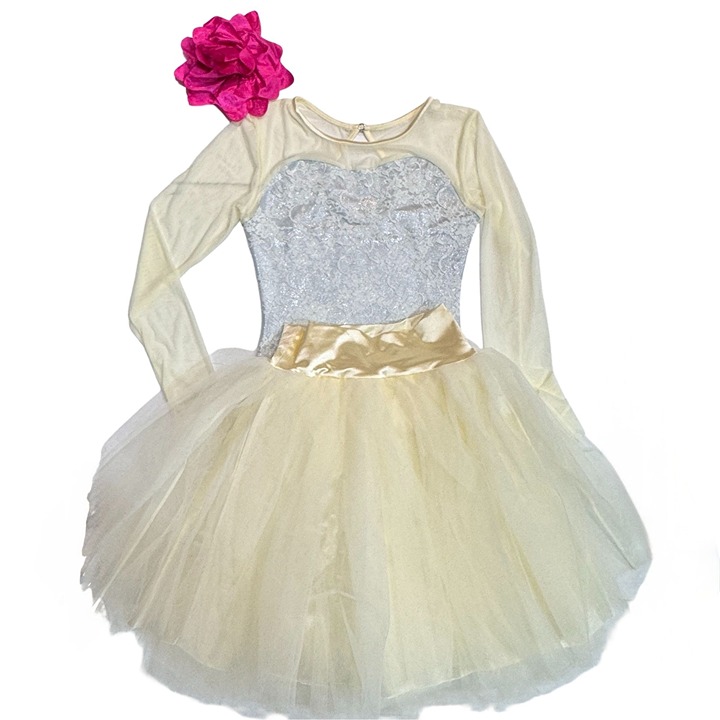 Weissman Music Box Dance Dress Tutu Costume Small Adult Ivory Silver Lace Tulle