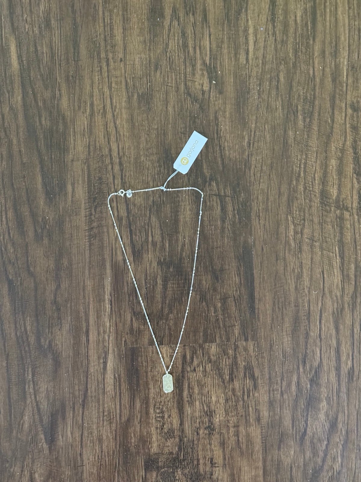 Gorjana Necklace