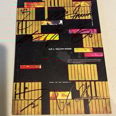 Stray Kids Clé 2: Yellow Wood OT9 Signed Promo Album