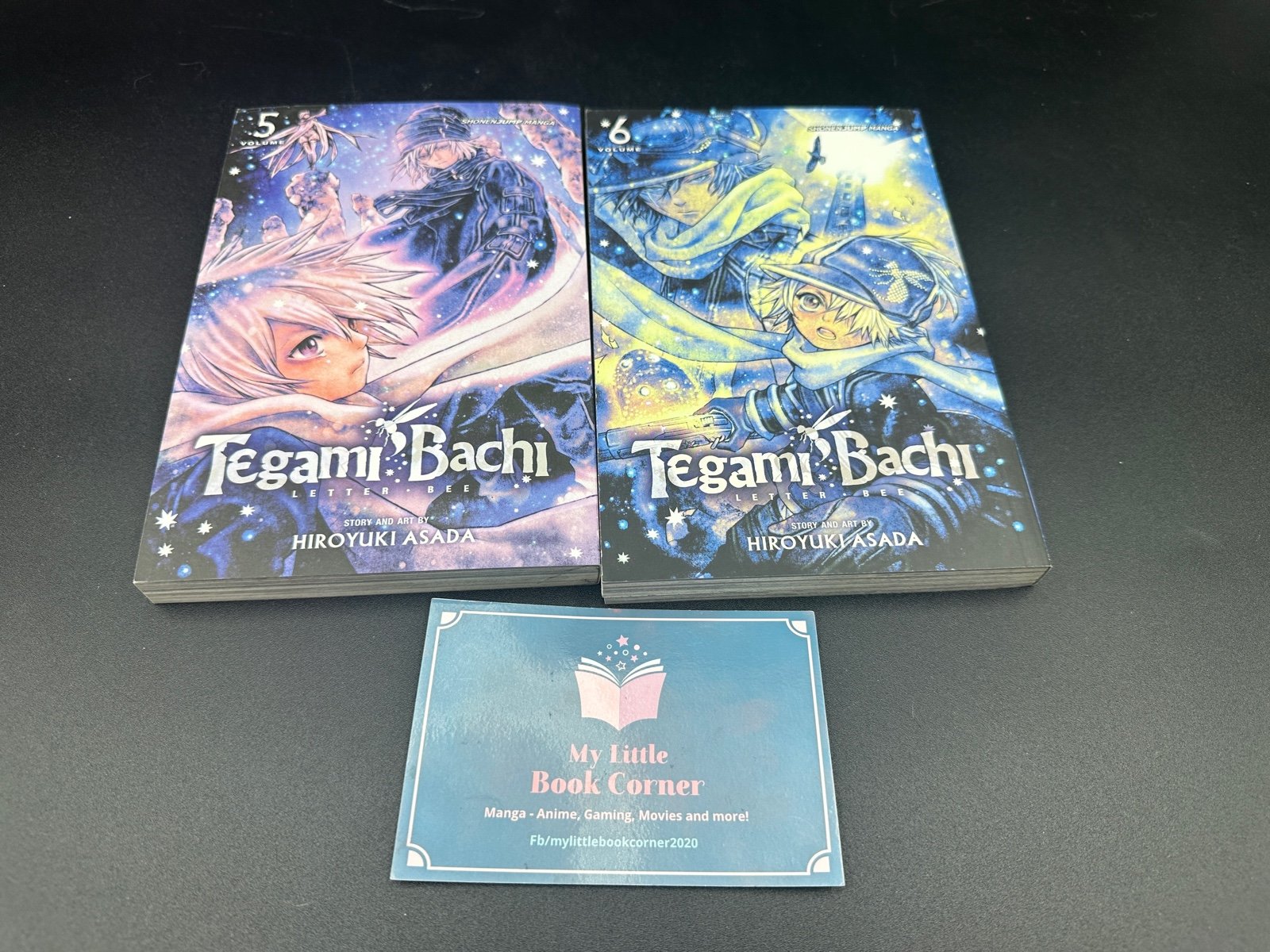 Tegami Bachi Manga vol 5-6 English Viz Media
