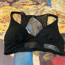 gilly hicks mesh padded top (size:S)