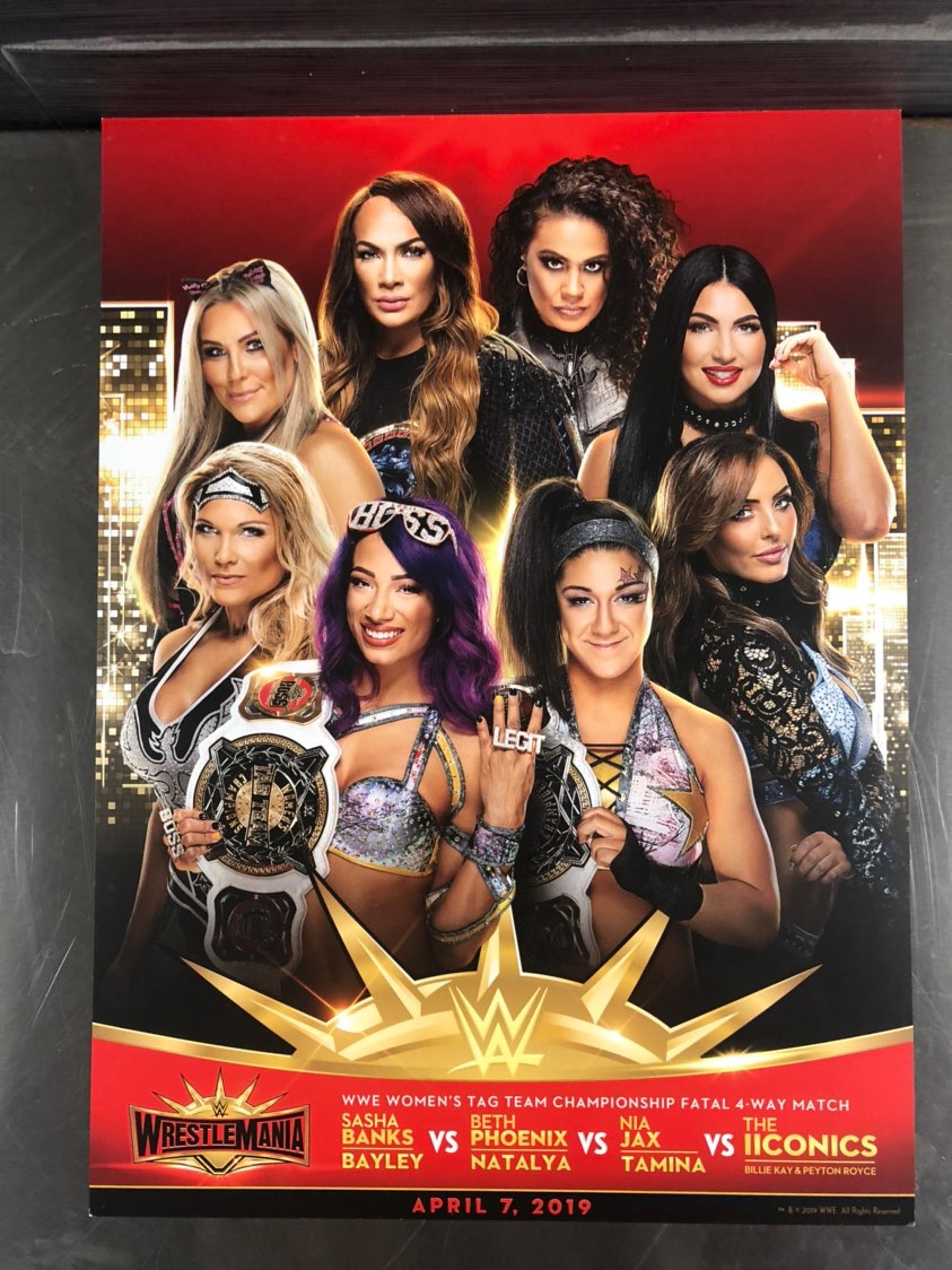 WWE Wrestlemania 35 11x15 Poster