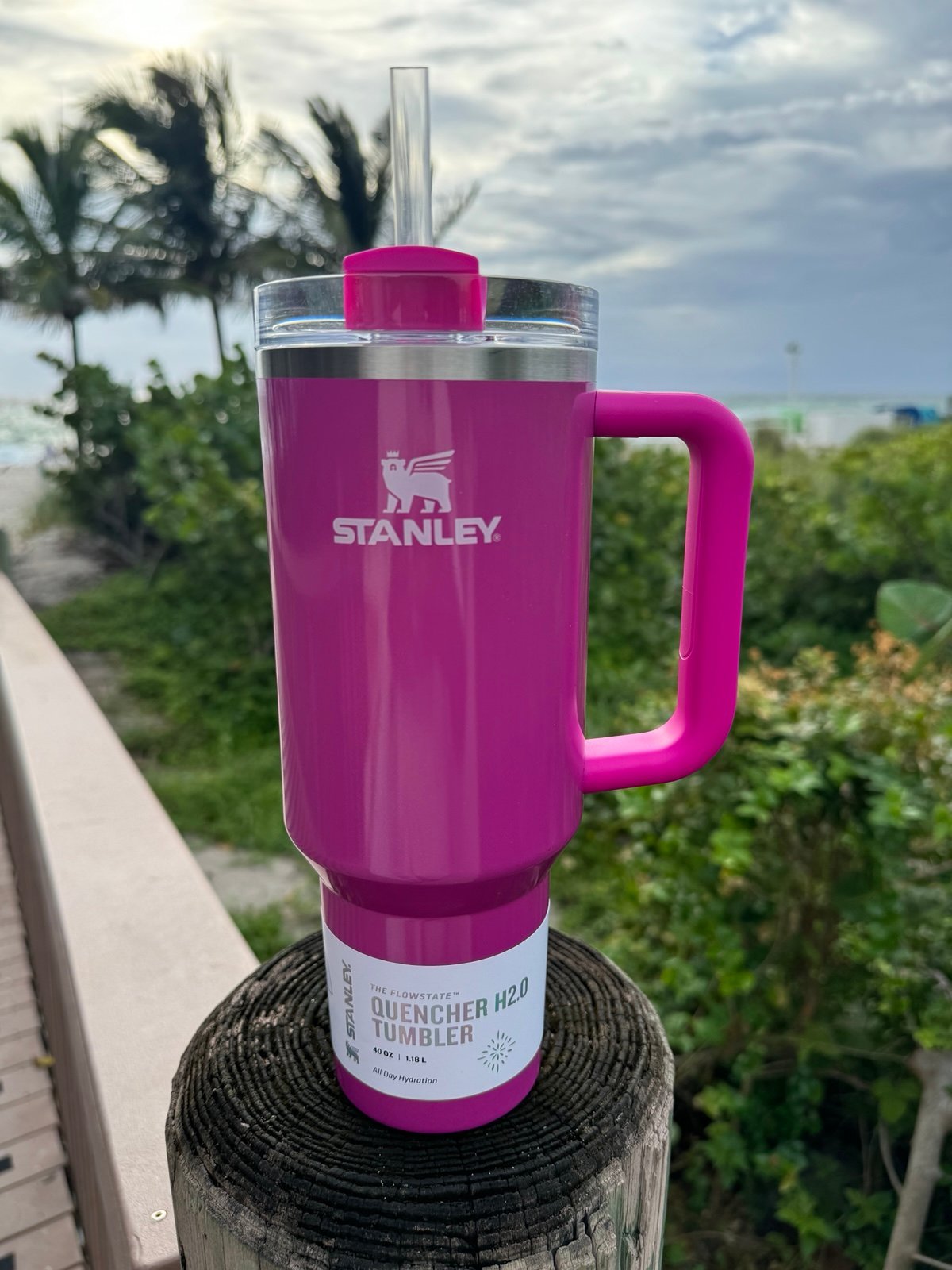 Stanley Punch Shimmer 40oz Tumbler