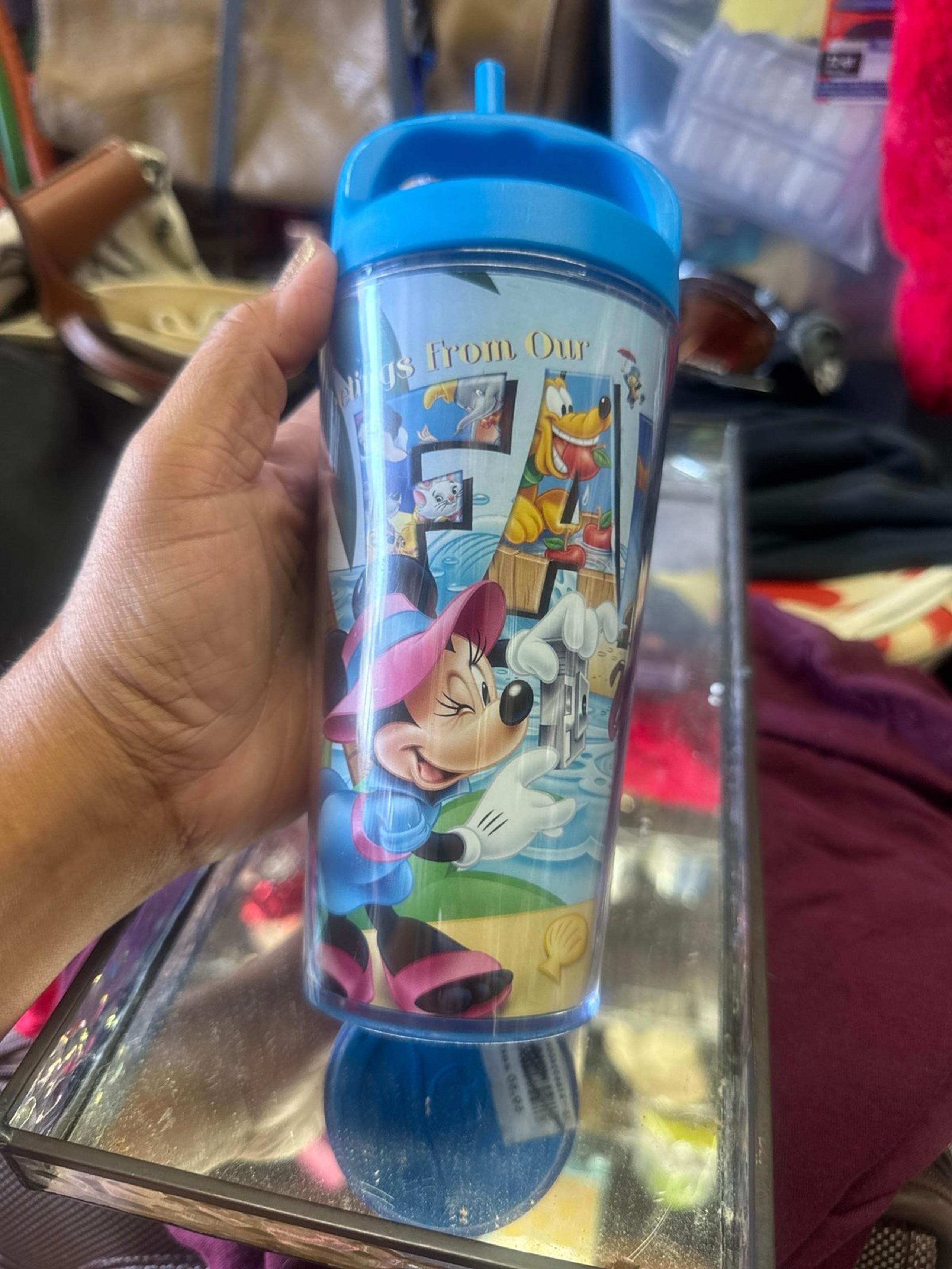 Walt Disney World Parks Water Bottle Disney Mickey & Minnie tumbler cup straw