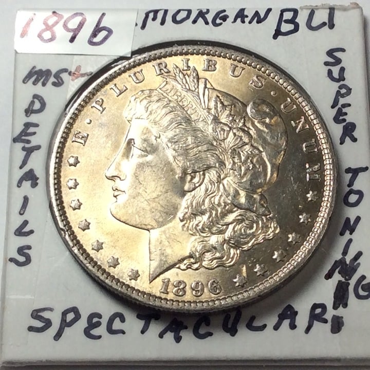 1896 Morgan Silver Dollar in BU Condition with Super Detail and Beautiful Toning