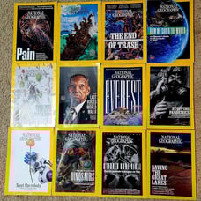 2020 National Geographic Magazines 12 issues