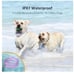 PATPET Shock Collar for Dogs