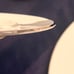 Lenox Special Ivory Platinum Trim 6- 5 piece place Setting