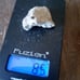 Kimberlite