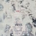 Victoria's Secret NWOT S So Curvaceous Shaping Slip Snow Leopard Shapewear