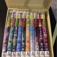Lot of 10 Japanese Zelda books