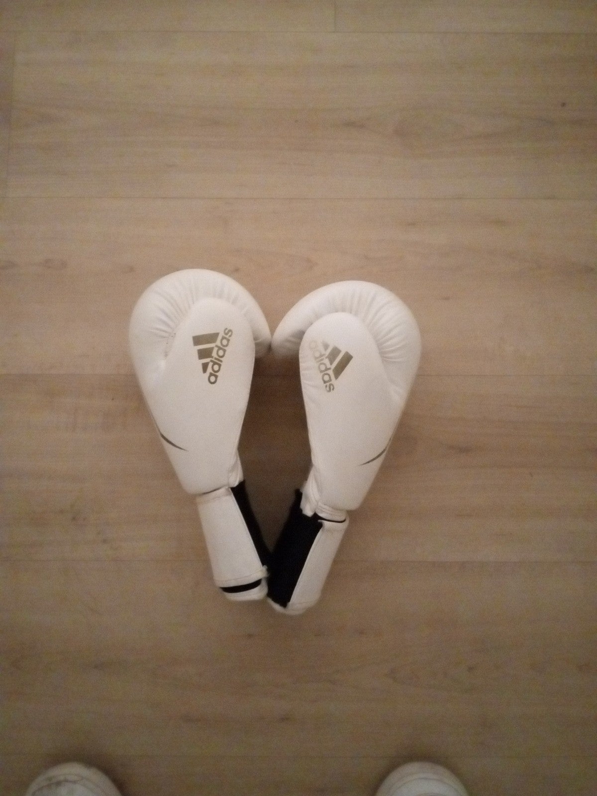 Adidas boxing gloves