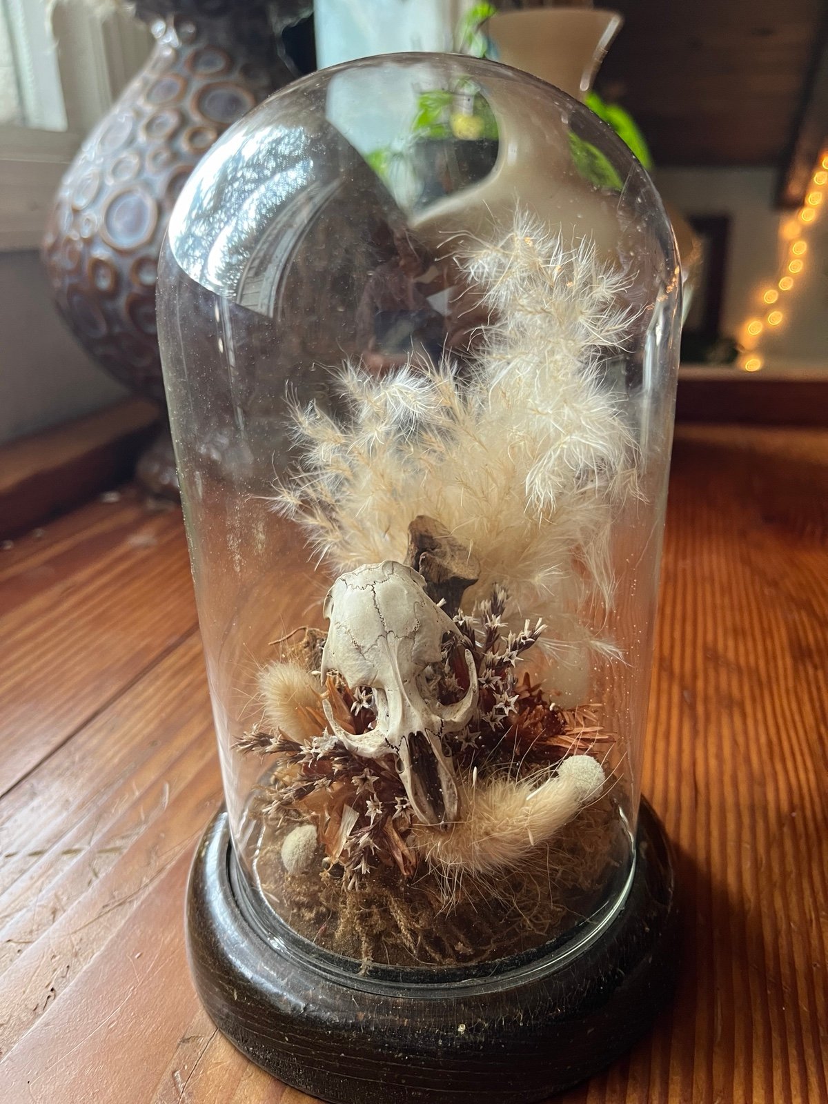 Muskrat skull cloche