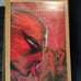 Spiderman#800 dell Otto exclusive