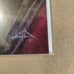Spiderman#800 dell Otto exclusive