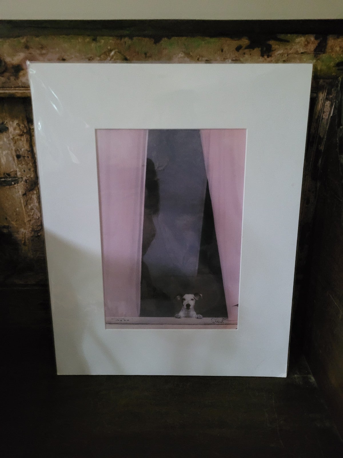 NWT Jack Stoddart bathroom scene woman & her dog Jake