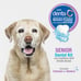 Nylabone Advanced Oral Care Bacon Flavor Senior Dental Kit