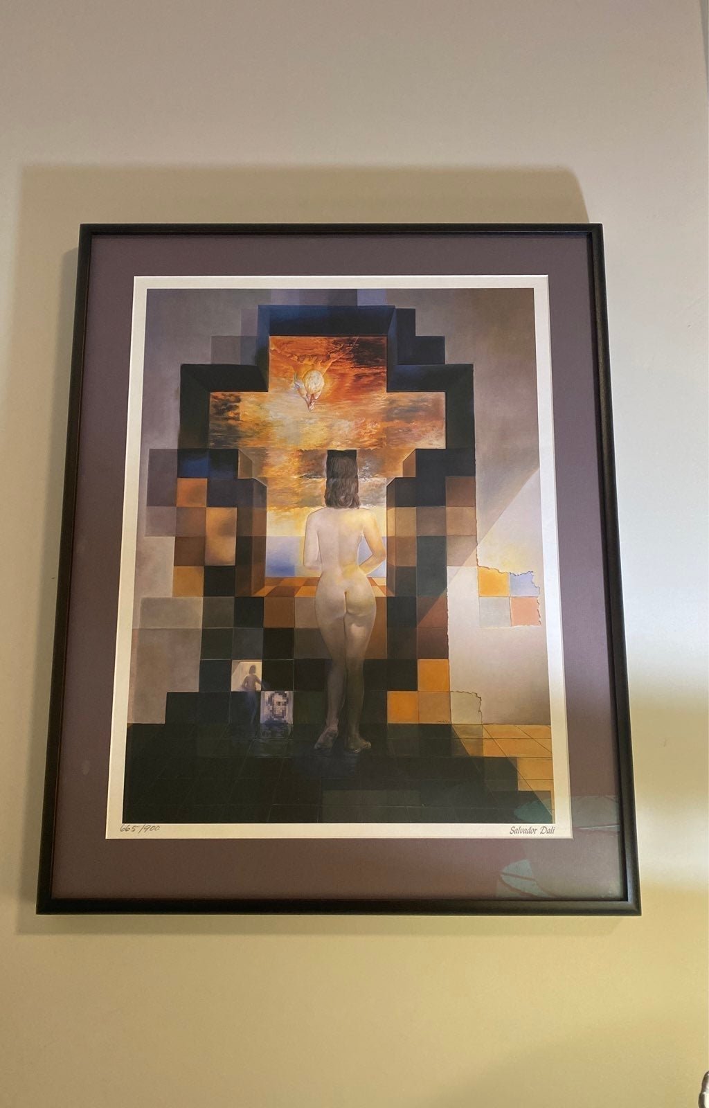 Dalivision by Salvador Dali 22 x 26