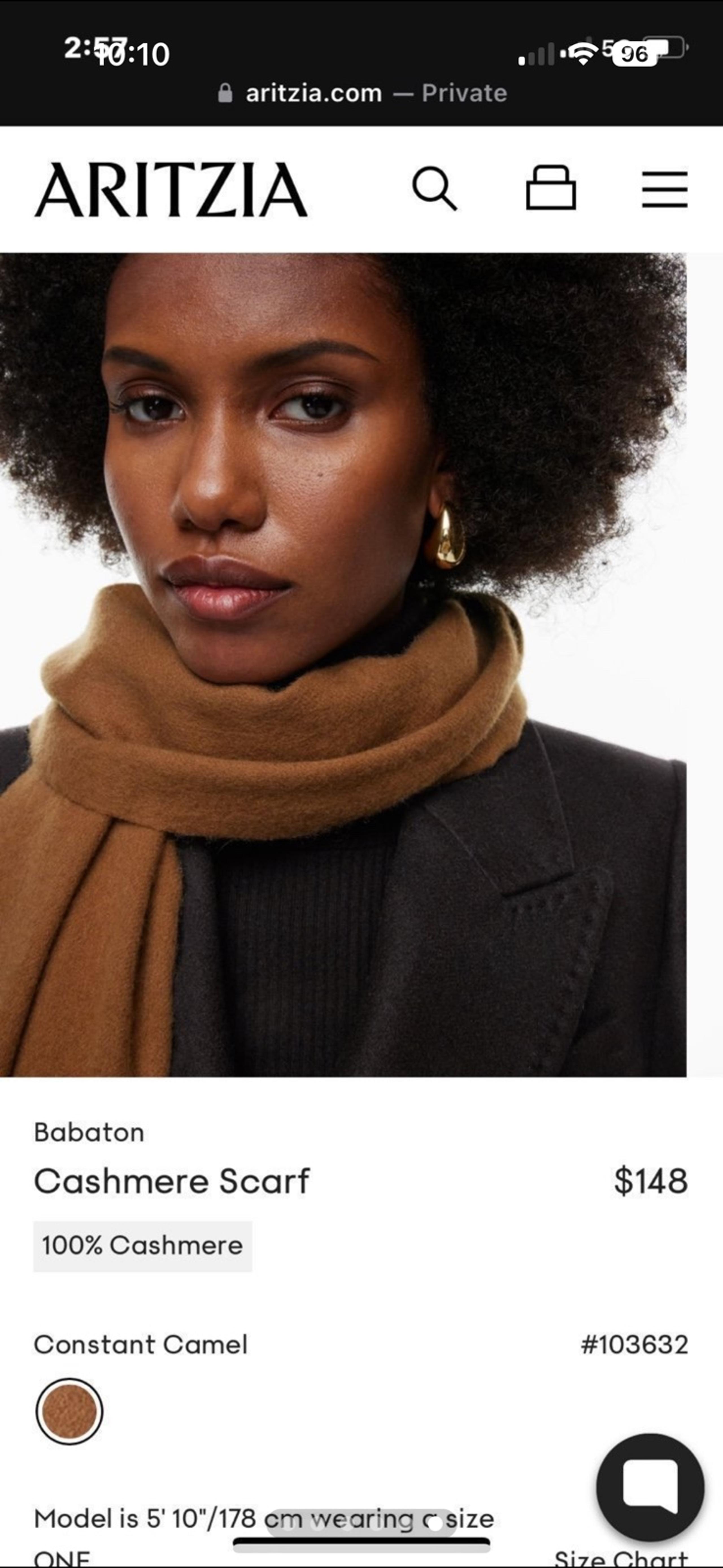 NWT Aritzia Babaton 100% cashmere brown scarf