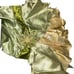 New Disney tails The Princess and the Frog Tiana Dog and Cat Costume XL 2 piece