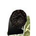 New Disney tails The Princess and the Frog Tiana Dog and Cat Costume XL 2 piece