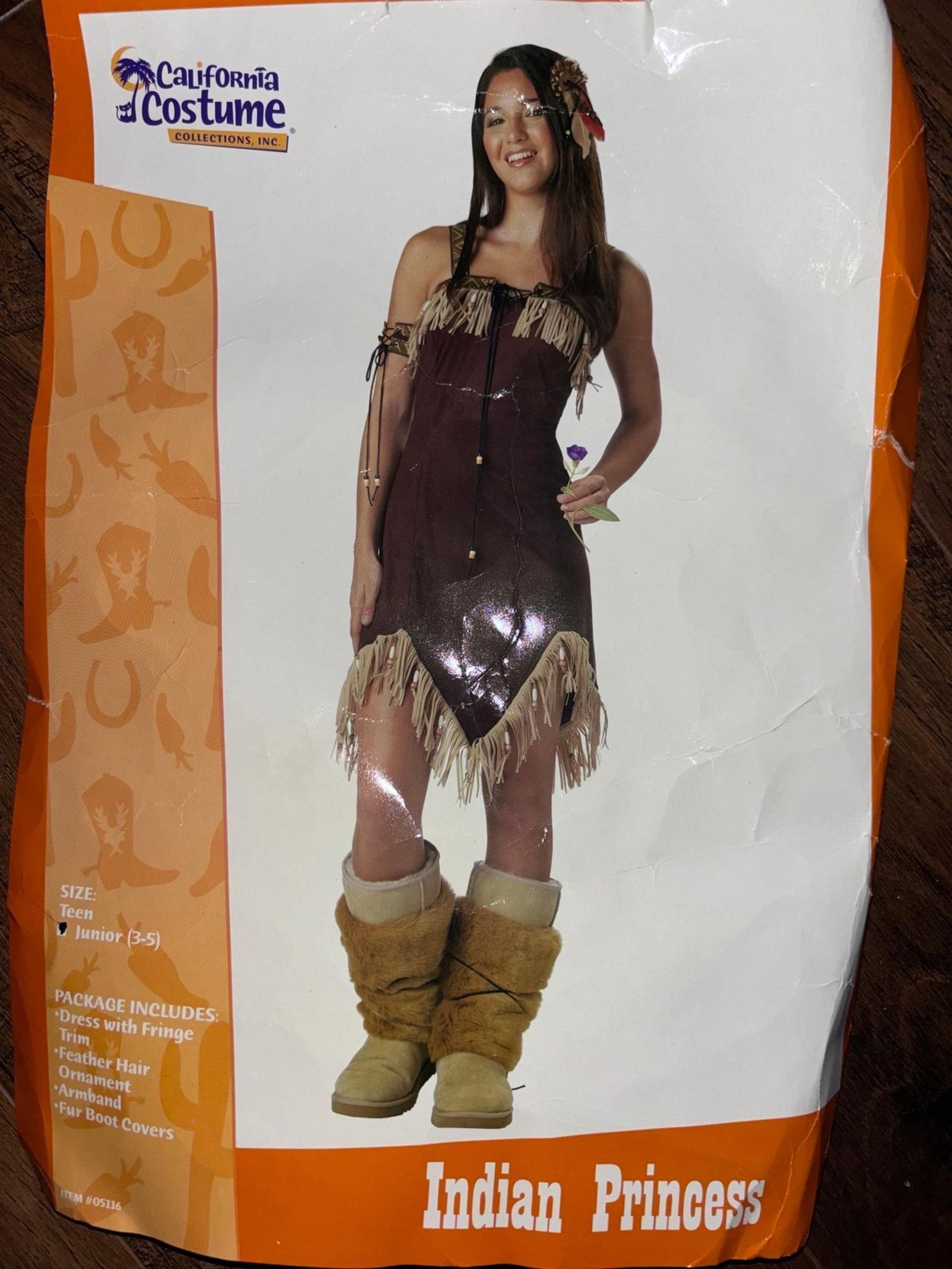 California Costume Collection Indian Princess