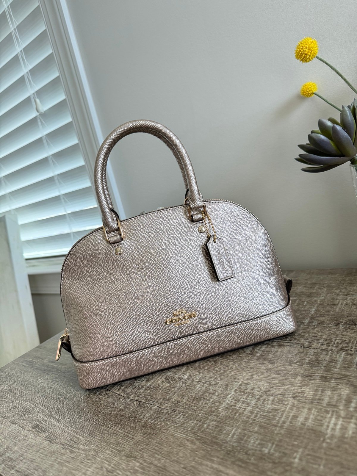 NWT COACH F22315 MINI SIERRA CROSSGRAIN DOME SATCHEL HANDBAG Platinum