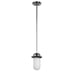 Seaton Pendant in Polished Chrome