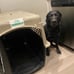 40in Travel Kennel