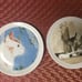 MINOU-ETTES CATS 4 Porcelain COASTERS