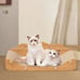 Premium Cat Scratch Board - Durable Cardboard Scratcher for Indoor Cats