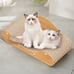 Premium Cat Scratch Board - Durable Cardboard Scratcher for Indoor Cats