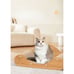 Premium Cat Scratch Board - Durable Cardboard Scratcher for Indoor Cats