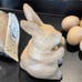 Paper Mache 6.5” bunny,1 -5.5” egg & 8 2.5” eggs