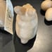 Paper Mache 6.5” bunny,1 -5.5” egg & 8 2.5” eggs