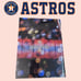 Houston Astros 2021 Commemorative Photo Book